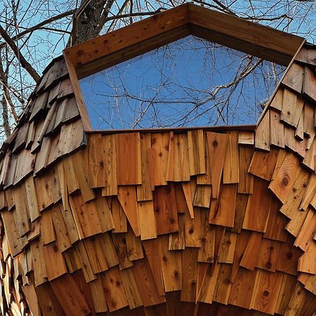 T'Glamp Bee House Hotel Rovte Exterior foto
